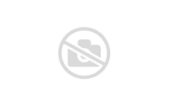 Квадроцикл HND QRX 650 XE SPORT