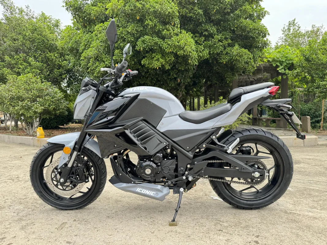 Мотоцикл TMBK Iconic 400cc